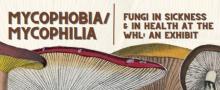 Mycophobia/Mycophilia exhibit promotional banner