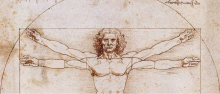 Cropped image of Da Vinci's Vitruvian Man